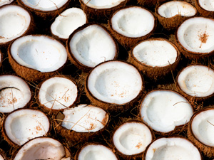 coconuts