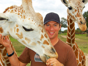 harry-and-giraffes
