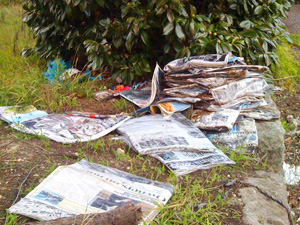 dumped-wentworth-couriers