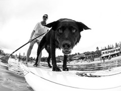 Photo: Franck Gazzola - www.frothers.com.au