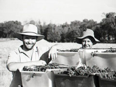 wine-aug16