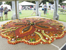 Tomato-Festival-Sydney-mandala