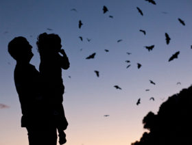 Spotlight-Prowl-FAMILIES-WhatsOnSydney-700-x-5301
