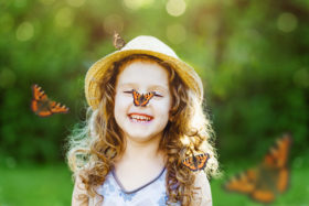 Butterflies-Up-Close