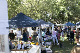 Market-Photo