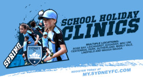 Spring17-Holiday-Clinics-website-620x349