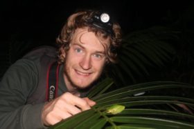 litoria20kroombitensis_stephen20mahony_big