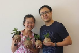 couple-kokedama3