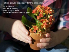 Eco Outdoor Spring Potted activity for the little ones. copy