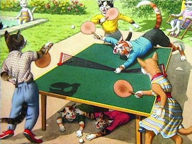 cat-ping-pong