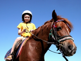 Pony-Rides
