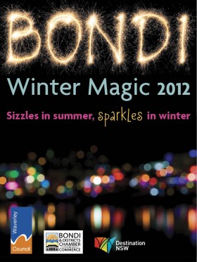 Bondi-winter-magic-2012-branding-portrait1