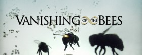 Vanishing-of-the-Bees