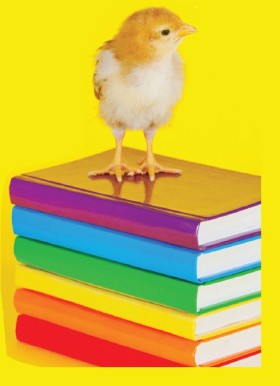 Spring-Booksale-2013-Chick-image
