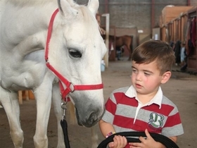 Tiny-tots-riding_280x210