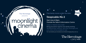 Moonlight-Cinema-Flyer