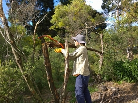 Bushcares-Major-day-Out_280x210