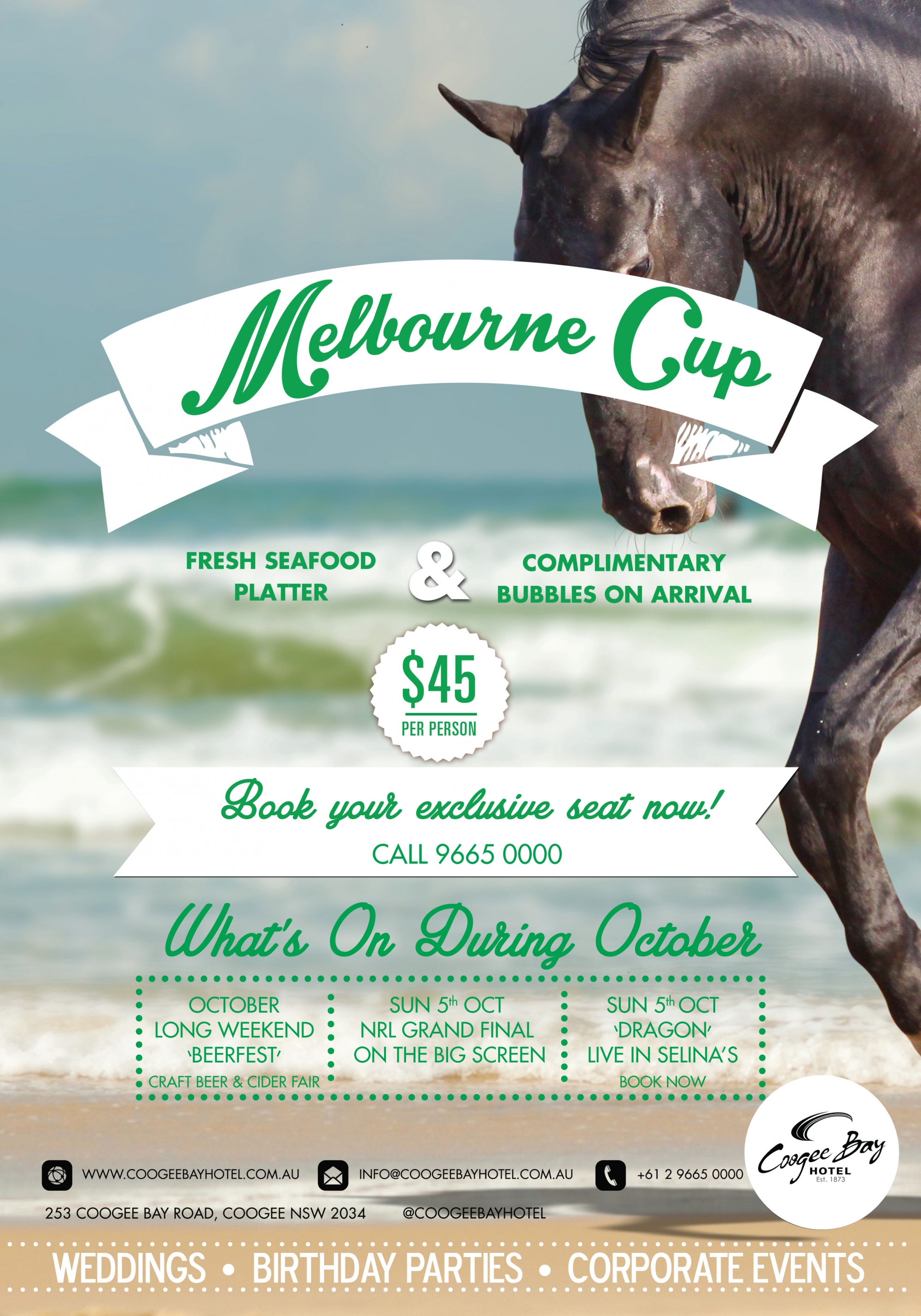 Melbourne Cup The Beast