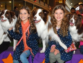 Dog-Lovers-Show-2013_0101