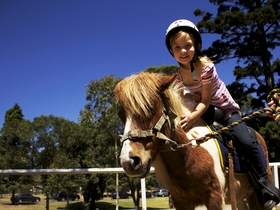 Pony-Rides