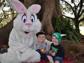 egg-hunt