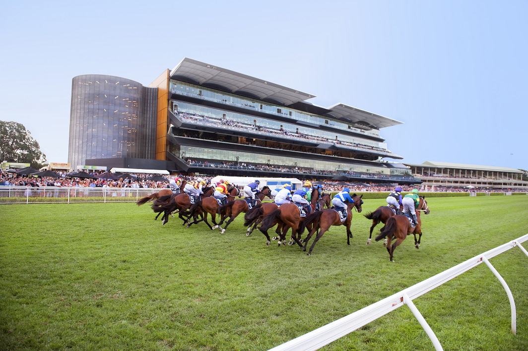 Chipping Norton Stakes Day - The Beast