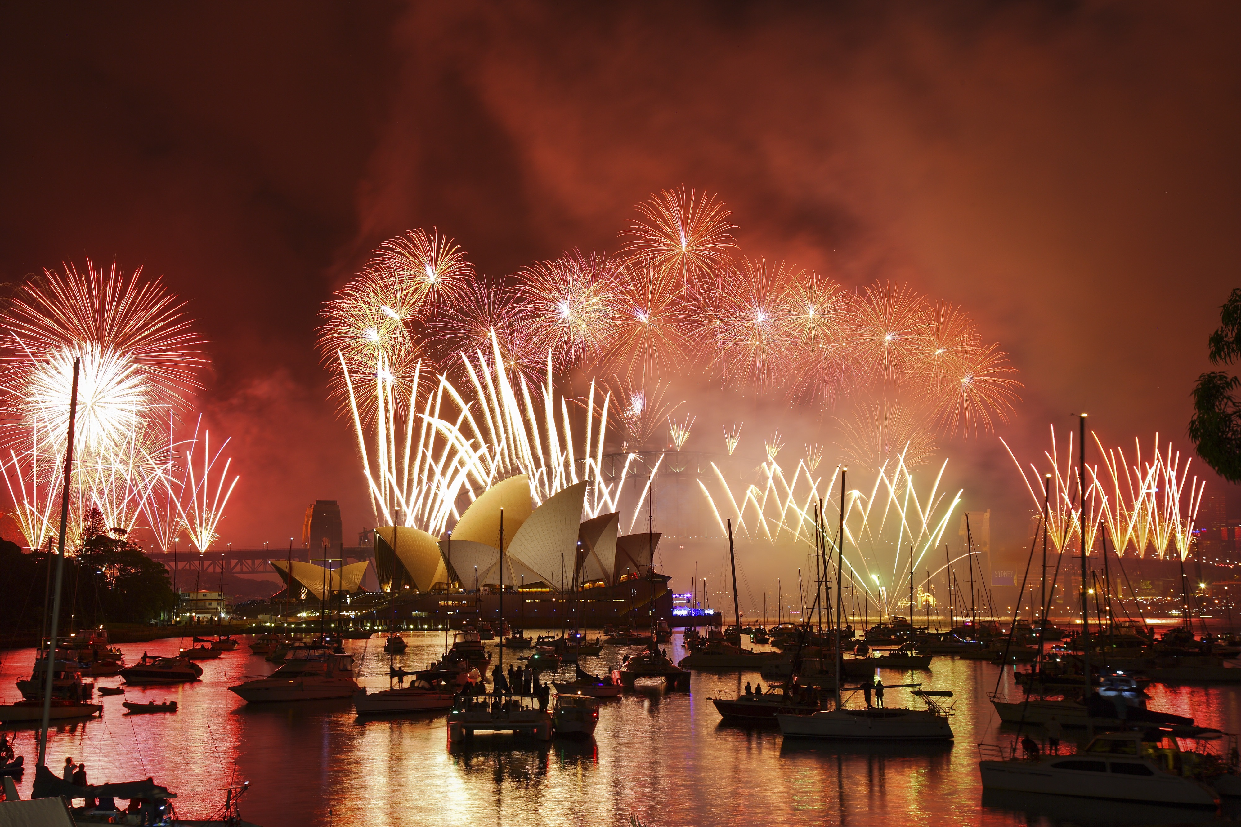 royal botanic garden new year's eve