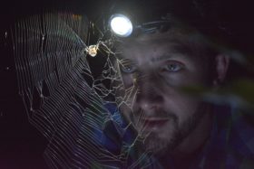 Spotlight-Prowl4