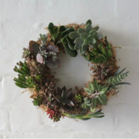 Succulent-Wreath-Workshop