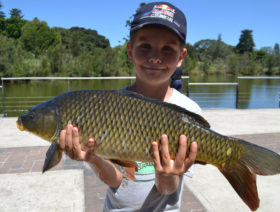 BigFishl-WhatsOnSydney-700-x-530