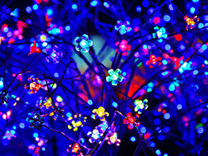 You down with LED? Yeah, you know me.