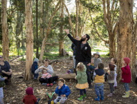 Tasteofbushschool_city-of-sydney