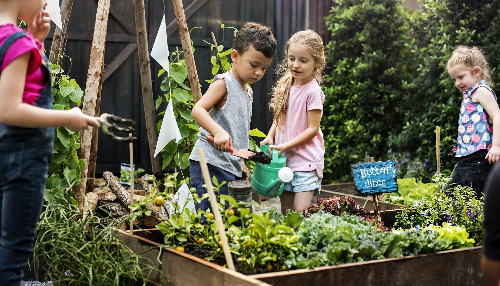 Kids Veggie Patch - The Beast