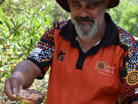Bush-tucker-pizza-City-of-Sydney