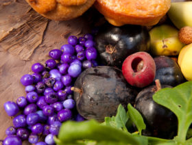Bush-food-experience-City-of-Sydney