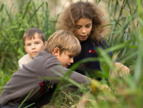 Wild-Play-tracks-trails-and-treasure-hunts-City-of-Sydney