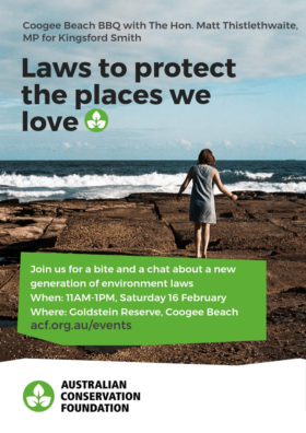ACF-Coogee-Beach-laws-event-flyer