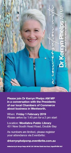 Conversation-with-Dr-Kerryn-on-Business