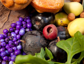Bush-Food-Experience_700x530