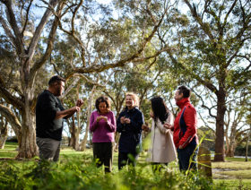 Aboriginal-Heritage-Tour-700x530